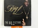 Big L - The Big Picture (1974 - 1999) - (VG/VG) - Vinyl 2LP - Rawkus RWK-1178
