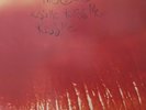 The Cure Kiss Me, Kiss Me, Kiss Me Vinyl, 1987 2 Discs, 