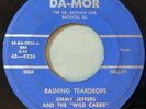 Jimmy Jeffers & Wild Cards - Raining Teardrops / Flute Shuffle 45 Rockabilly mp3