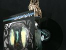 RoboKopf, The Echoes of Owls, Kostenloser Standardversand innerhalb Österreichs