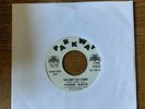 Northern Soul -Yvonne Baker You Didn't say a word. Parkway demo Ex