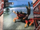Prodigy-The Fat Of The Land (2xLP)