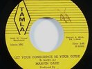 Marvin Gaye 