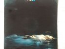 Pele. Fireworks. LP. Very Rare Vinyl Copy With Press Release. NM Copy