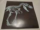 Jurassic Park Soundtrack [RARE AMBER variant] LP Vinyl Record Album Mondo