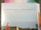 Andrew Mcmahon Pop Underground (sealed)/ Canyons Rsd 10” Vinyl Record Lot