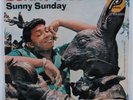 Northern Soul 45 BUNNY SIGLER Sunny Sunday PARKWAY VG+/VG++ pic sleeve HEAR