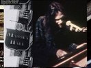 NEIL YOUNG 