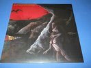 LP ITALIAN PROG IL BACIO DELLA MEDUSA - DISCESA AGL'INFERI D'UN GIOVANE AMANTE