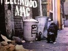 Fleetwood Mac - Peter Green's (180g LP Vinyl)  sealed
