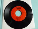 U.S. Garage Psych 45 The Boys 'N Ivy Soul Kitchen Summertime Pampa Listen Hear