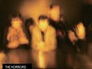 The Horrors Primary Colours (Vinyl LP) 12