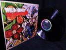 CLEAN 1967 ORIG ? The Beach Boys ? WILD HONEY ? CALIF BREEZY POP GEM 