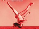 Vertical Horizon - Everything You Want [LP] VINYL LP NEW