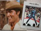 ELVIS PRESLEY USA vinyl LP GUITAR MAN with promo insert. RCA 1981. AAL1-3917