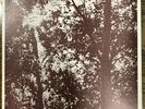 David W. Peters Hey There Anyone LP Private Loner Psych Folk Minnesota 1972 SSW