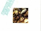 KEN SAUL - SEASHELLS. RECORD COLLECTOR RARE VINYL SERIES. MINT / UNPLAYED NO COA