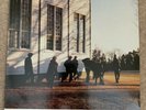 COWBOY JUNKIES The Caution Horses 1990 Original  Vinyl LP Ex