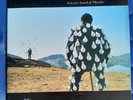 Pink Floyd - Delicate Sound of Thunder - 1988 -sehr guter Zustand - 2x Vinyl LP