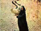 Fleetwood Mac-Pious Bird of Good Omen Vinyl / 12