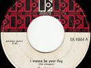Stooges -I Wanna be Your Dog/1969 -Canadian issue -Elektra 45664 John Cale punk