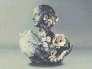 Alina Baraz - Urban Flora