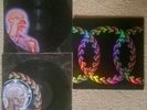 Tool - Lateralus Double LP Vinly Record Picture Disc Unplayed