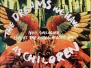 noel gallagher the dreams we has children have as children rare  oasis weller 