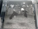 Black Pistol Fire - Don't Wake The Riot Gatefold Vinyl Record