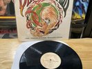 DIRTY HEADS Home Phantoms Of Summer The Acoustic Sessions VERY RARE Vinyl LP