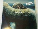 LIGHTLY PREOWNED - Beyonce- Lemonade Vinyl - LP2 - FREE SHIPPING