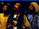 Israel Vibration ?– Forever - Vinyl LP Album1991- Like New item*