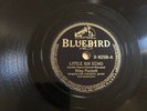 COUNTR RILEY PUCKETT Bluebird 8258 Dream Train/Little Sir Echo  E
