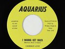 Sweet Soul 45 - Candace Love - I Wanna Get Back - Aquarius - VG+ mp3