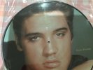 Elvis Presley All Shook Up Rockwelll picture disc lp N0.0029