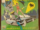 The Official Adventures Of BATMAN & ROBIN  Vinyl Records