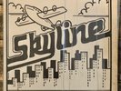 SKYLINE Vinyl LP 1986 RARE Louisiana BAYOU Modern Soul / Funk SIGNED NM