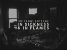 The Front Bottoms ** In Sickness & In Flames *NEW RED COLORED RECORD LP VINYL