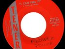 FLORIDA FUZZZZ GARAGE on TENER - NO ARTIST NAME (FLOWER POWER) 1st PRESS Hear