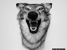 Yelawolf - Love Story Vinyl 2LP NEU 0553029