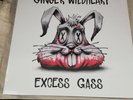 Record Store Day 2020 RSD Ginger Wildheart Excess Gass blue LP