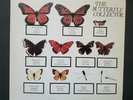 THE JAM - THE BUTTERFLY COLLECTOR - 2XLP UNOFFICIAL LIVE RELEASE- VERY RARE 1980