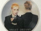 THE EURYTHMICS - Sweet Dreams (Are Made Of This)  7