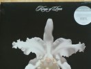 KINGS OF LEON Aha Shake Heartbreak Double LP Limited Edition Transparent Vinyl