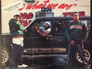 2 LIVE CREW “IS WHAT WE ARE” - Vinyl Album 1986 XR-100 Luke Skyywalker VG+/G+