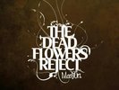MANSUN-The Dead Flowers Reject-White Vinyl-RSD 2020