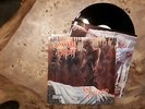 Cannibal Corpse - Tomb Of The Mutilated 1992 LP Death Carcass Six Feet Under