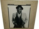 MUDDY WATERS Hard Again BLUE SKY LP VG++  