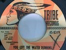 Northern Soul 45/ Barbara Lynn 