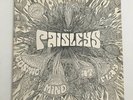The Paisleys COSMIC MIND AT PLAY Rare Psych LP Peace ORIGINAL